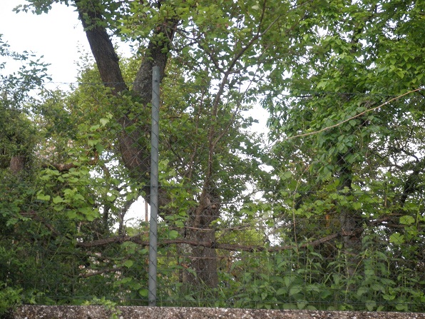 P5110050