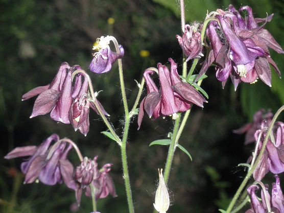 P5280106