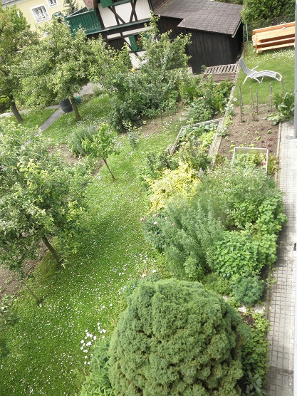 P6030151