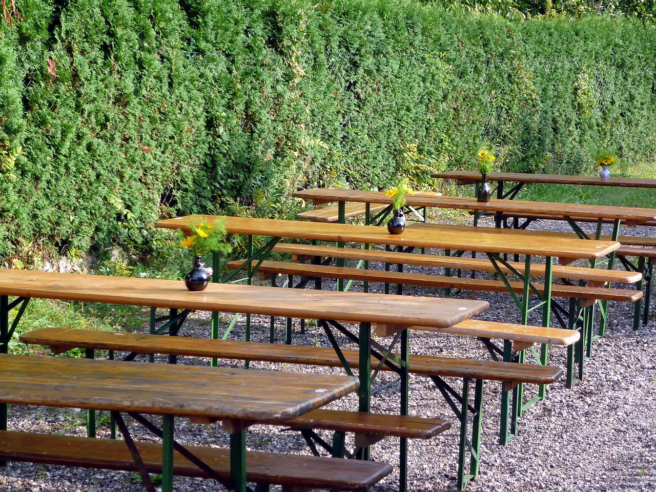 P1000881
