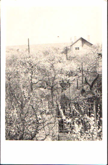 Steindlstra&szlig;e