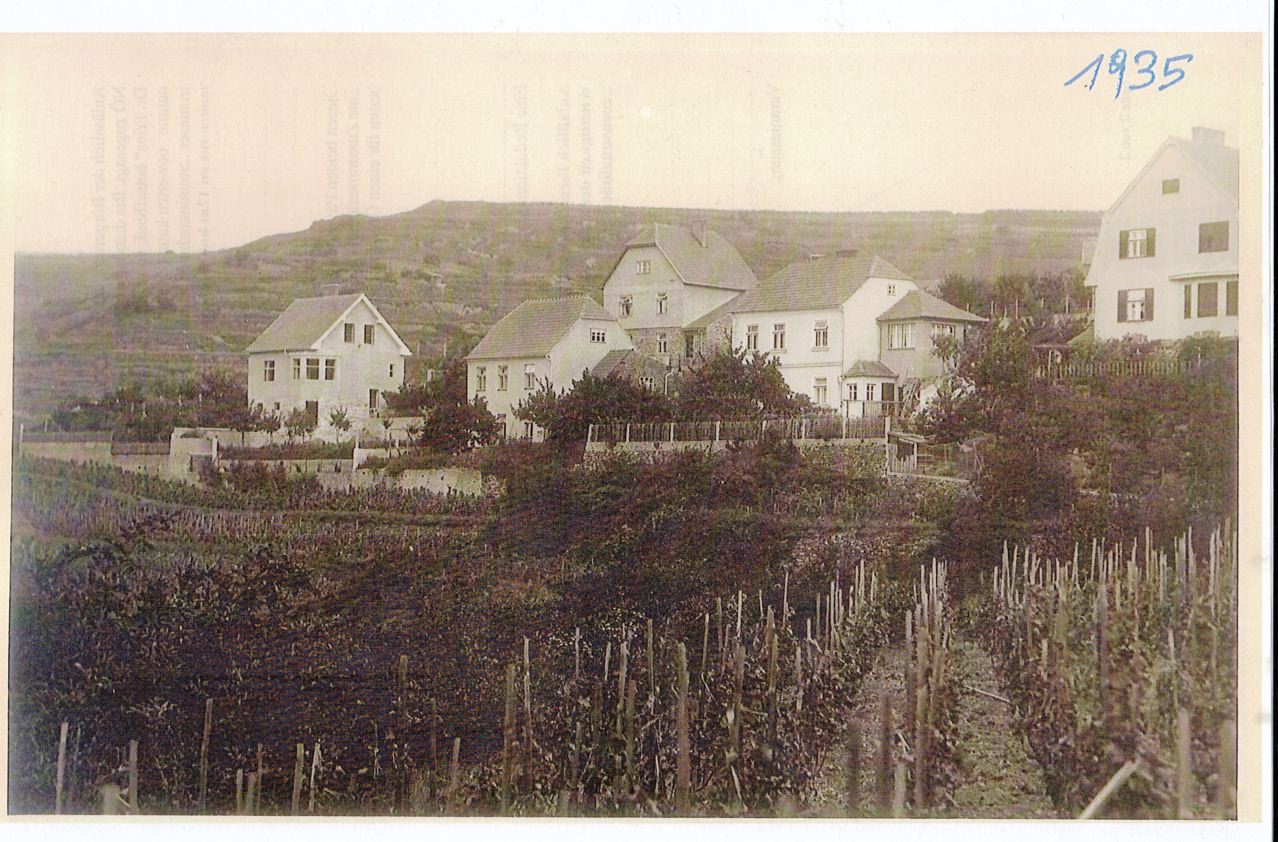 STEINDL 1935